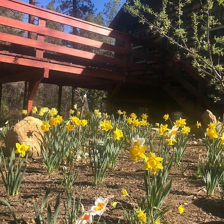Ahwahnee-Be Vintage Cabin - Walk To Town! ไอดิลล์ไวลด์ ภายนอก รูปภาพ