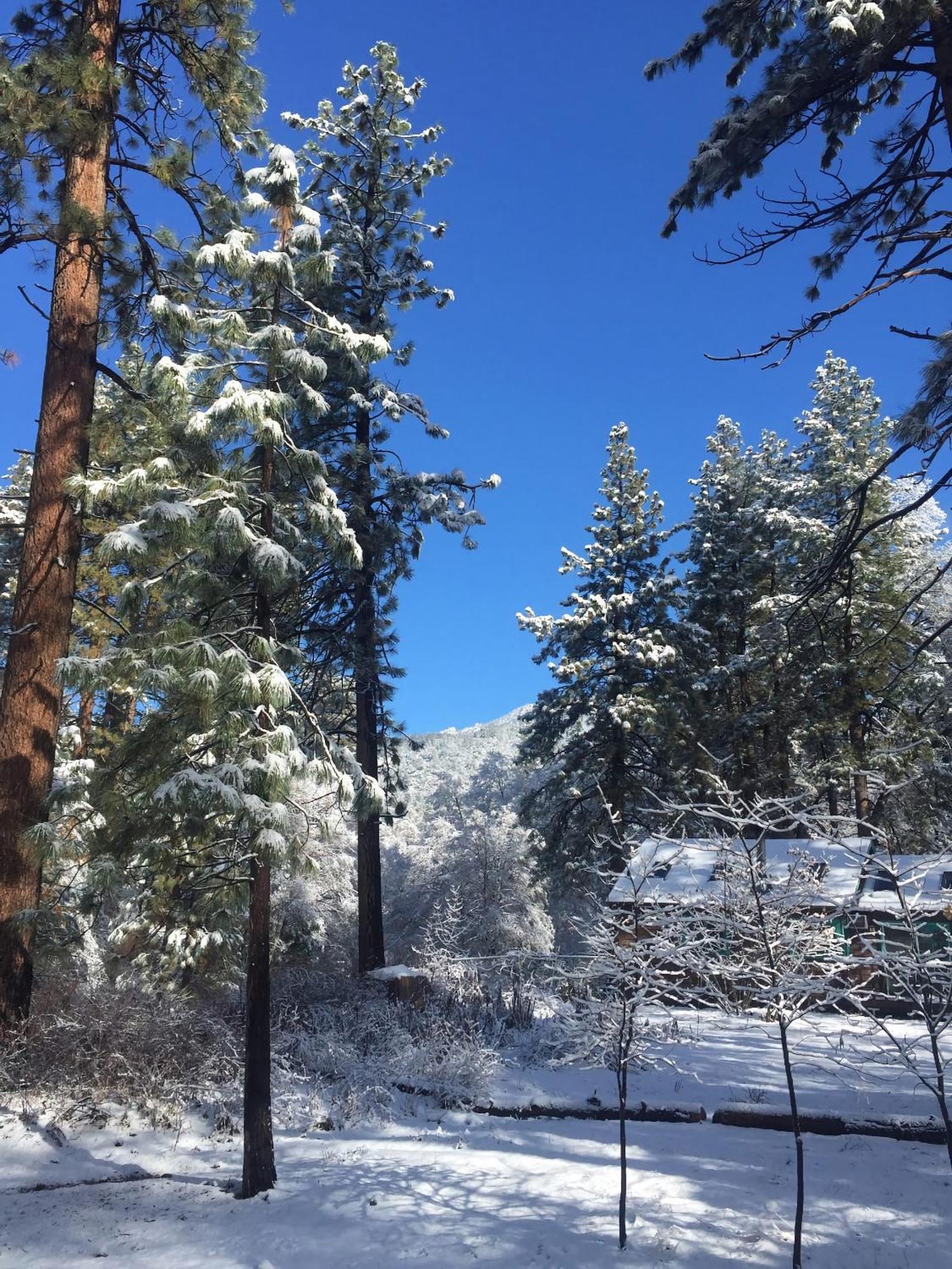 Ahwahnee-Be Vintage Cabin - Walk To Town! ไอดิลล์ไวลด์ ภายนอก รูปภาพ