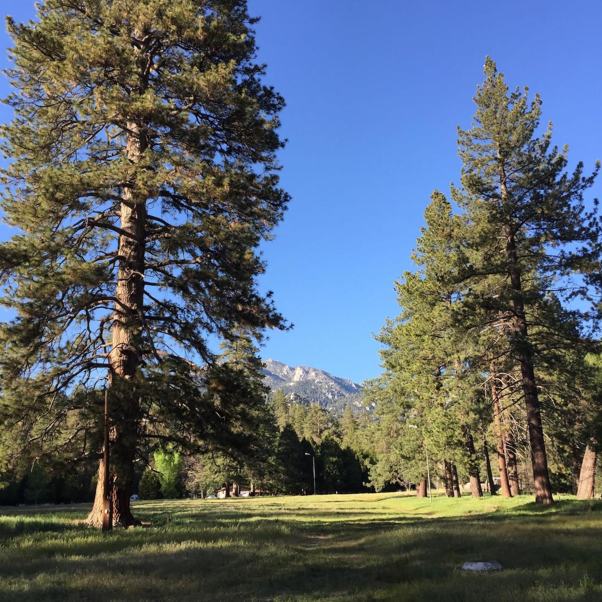 Ahwahnee-Be Vintage Cabin - Walk To Town! ไอดิลล์ไวลด์ ภายนอก รูปภาพ
